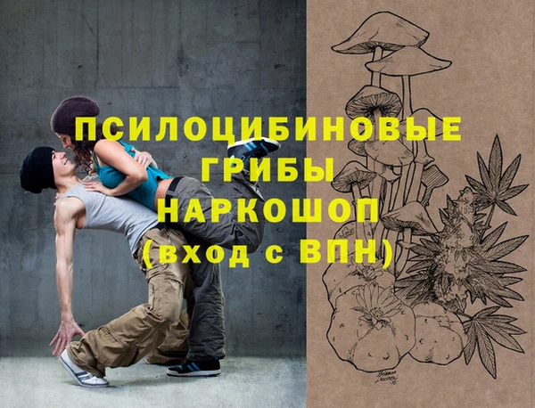 спиды Инсар