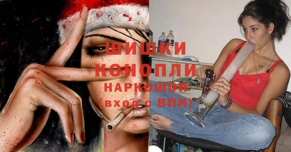 спиды Инсар
