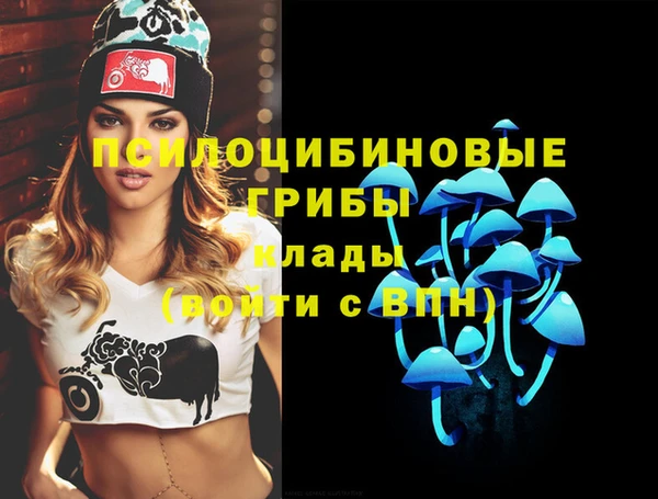 бутират Иннополис