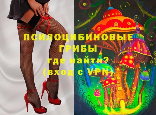 спиды Инсар