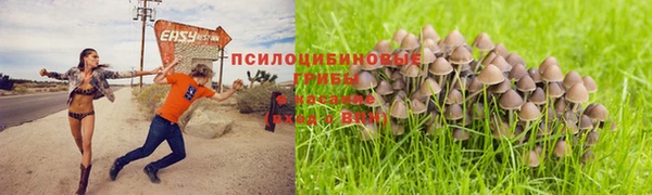 спиды Инсар