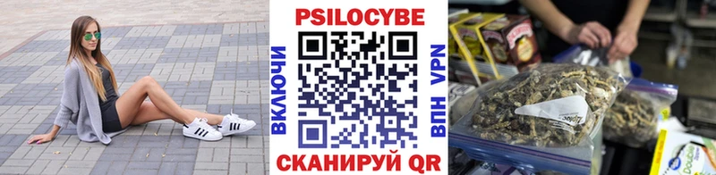 Псилоцибиновые грибы прущие грибы  Купить где  Ясногорск 