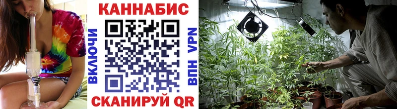 Купить закладки  Ясногорск  Канабис VHQ 